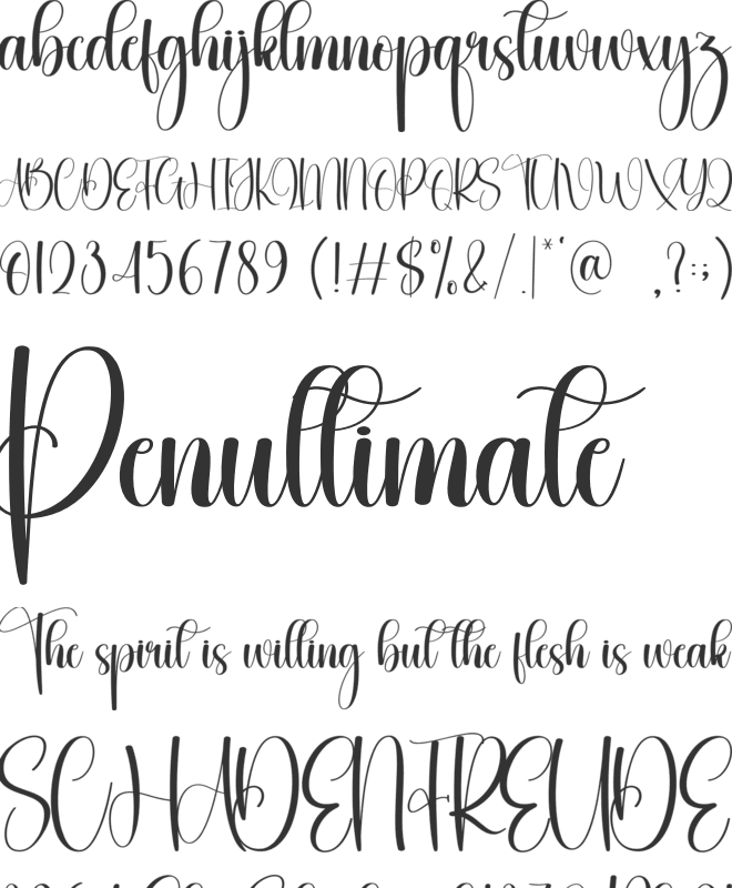 Sunny font preview