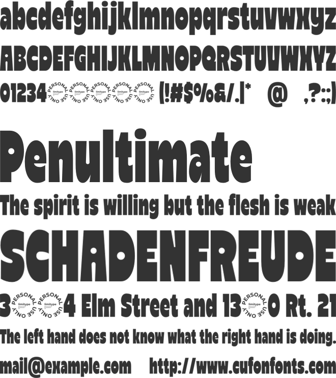Reiger Bold Condensed Font font preview