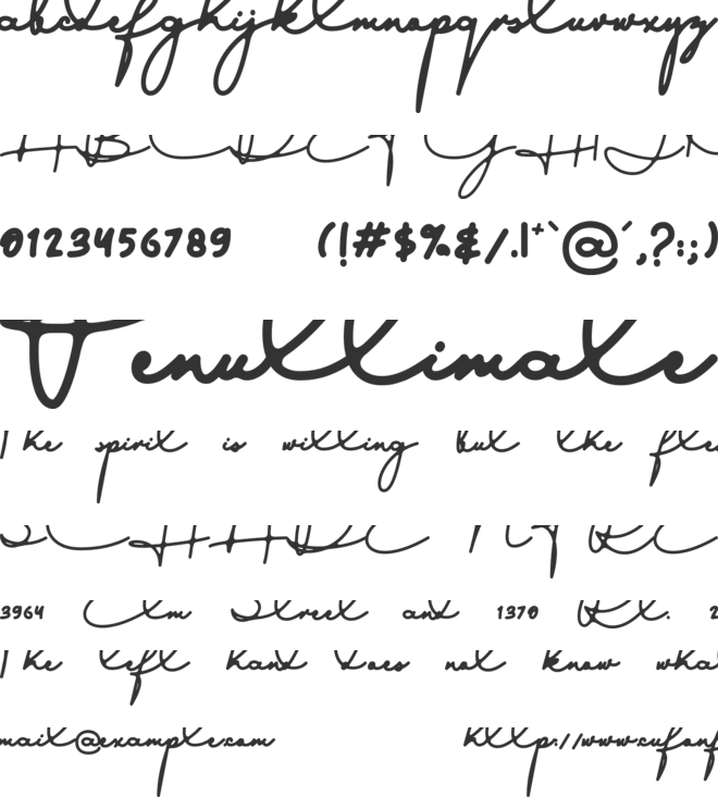 austinsigns font preview