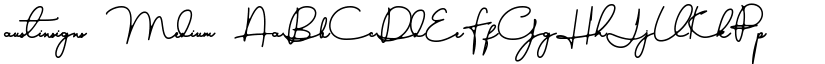 austinsigns font download