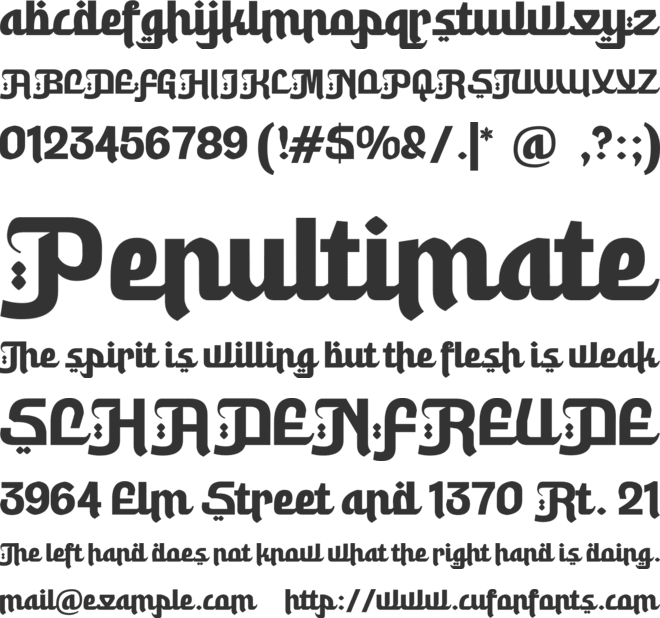 Rahila Arabic font preview