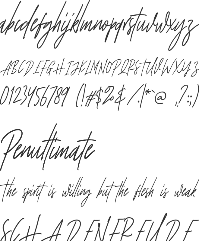 Strong Heart Script font preview