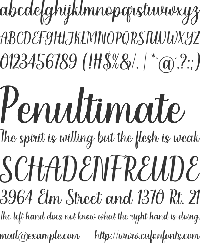 Christinne font preview