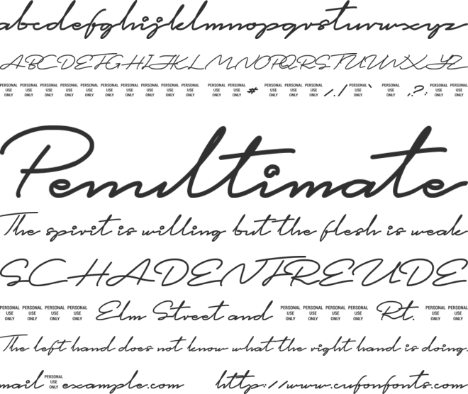 This is Signature font preview