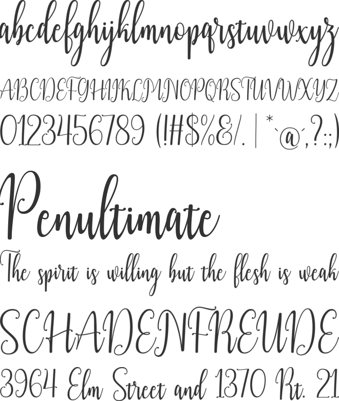 News Christmas font preview
