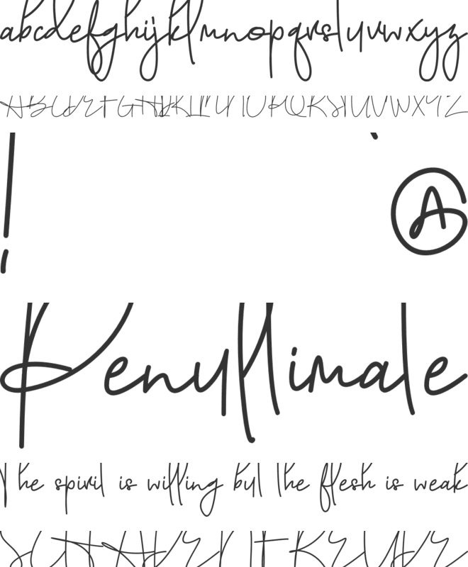 Austin Pen font preview