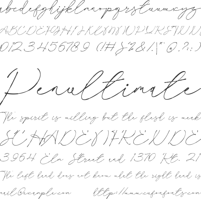 Ranessa Script font preview
