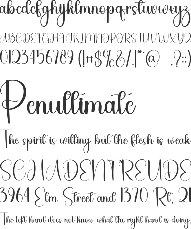 Dailight font preview