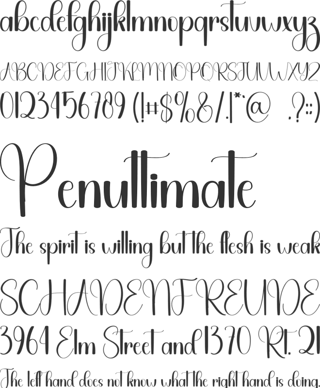 The Rustic font preview