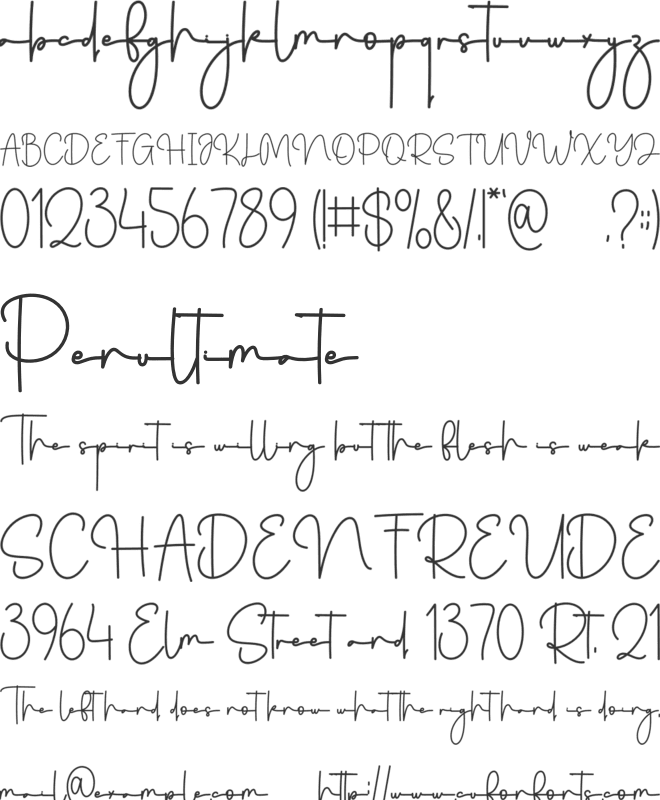 Sunshine Calligraphy font preview