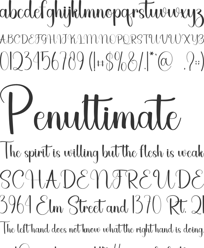 Physical font preview