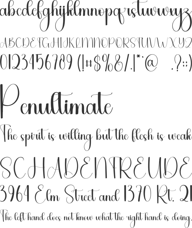 Vintage Mushroom font preview