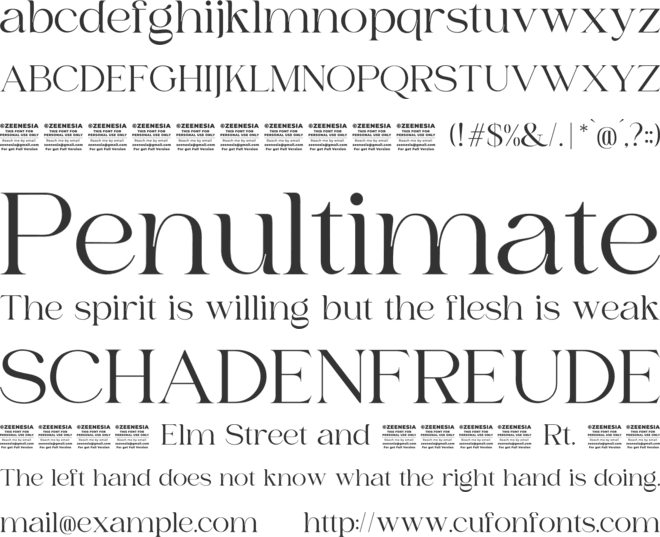 Bilgie Personal Use Only font preview