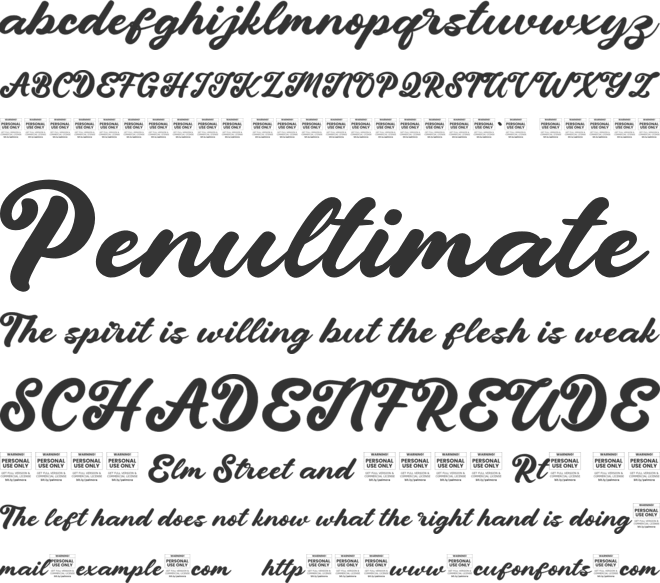Palmora - Non Commercial Use font preview