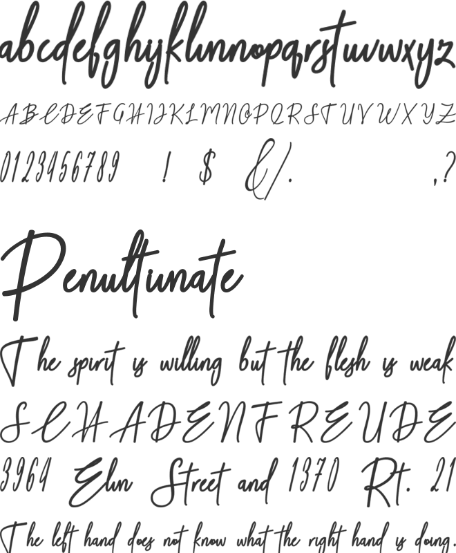 Midnight font preview