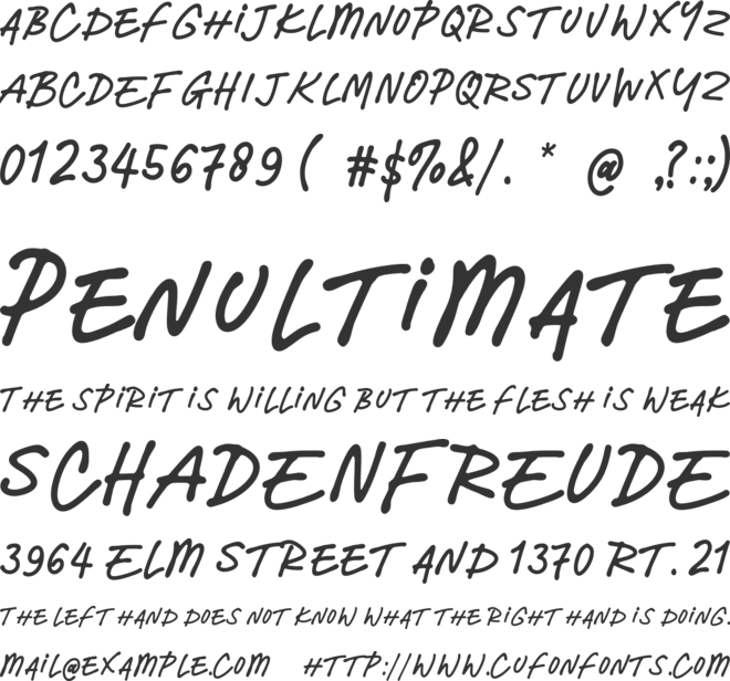 Gayalie Swimwear Serif and Script Font Duo Typeface font preview
