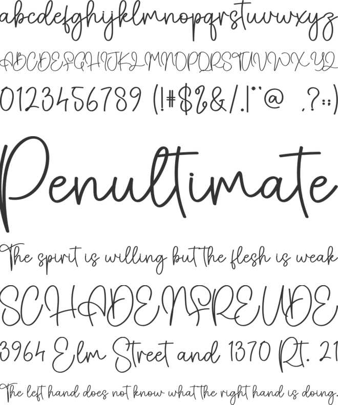 Belinda Signature font preview