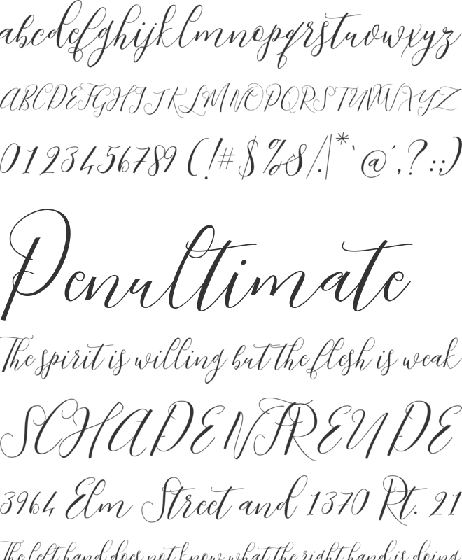 Niceday font preview