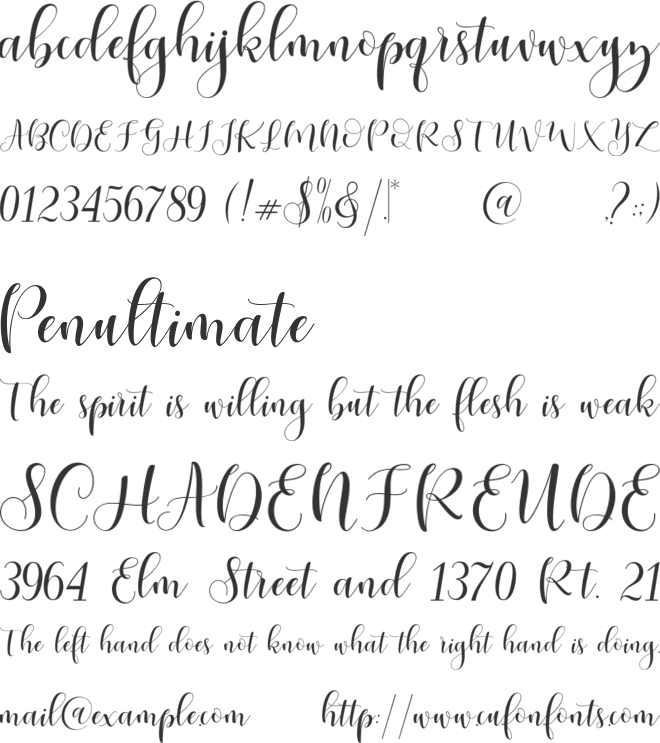 Ladies Script font preview