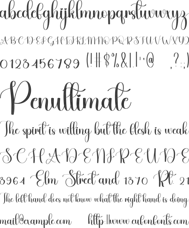 Angelia Signature font preview