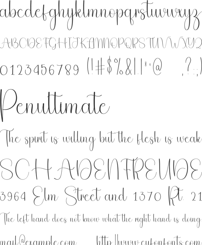 Animal Vacation font preview