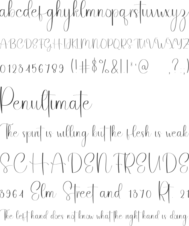Styling Fashion font preview