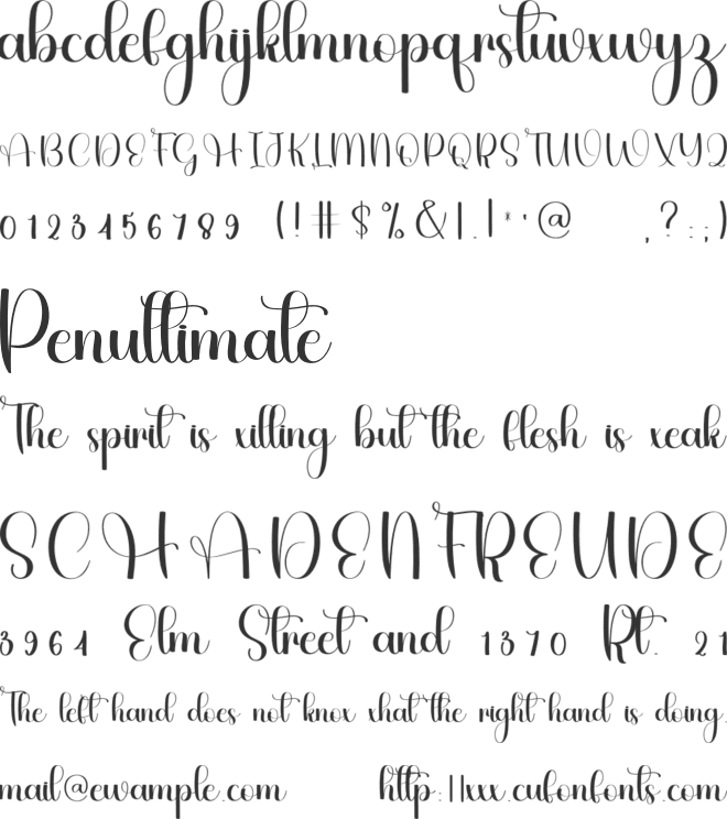 Stylish Darling font preview