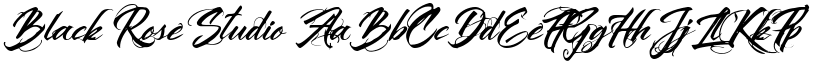 Black Rose Studio font download
