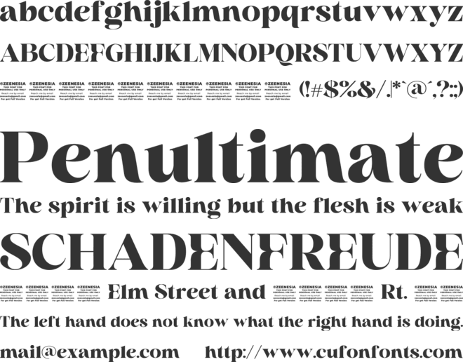 Rocline Personal Use Only font preview