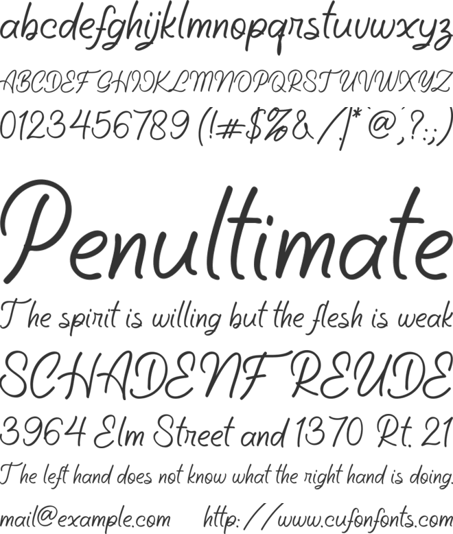Aleandra on the Soundwaves free font preview