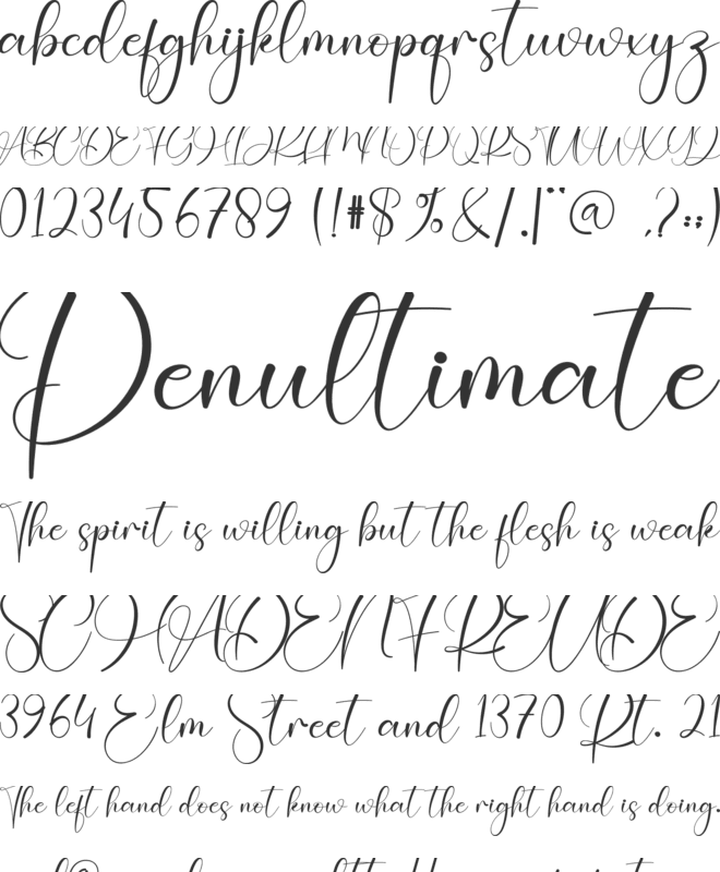 Panda font preview