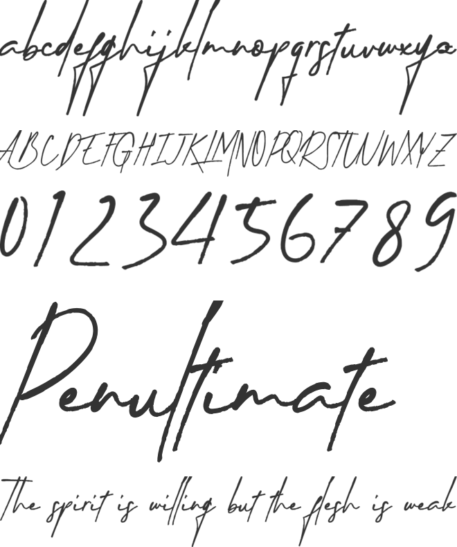 Timberluck font preview