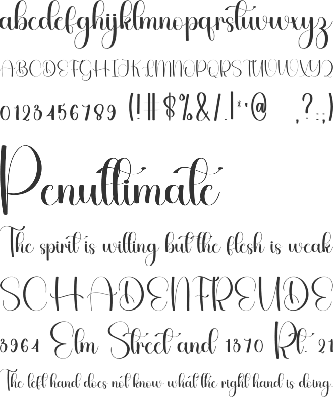 Gingham font preview