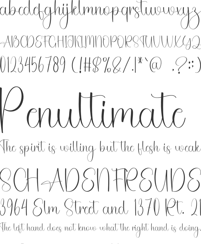 Christmas Delighful font preview