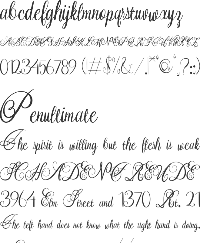 Silkora font preview