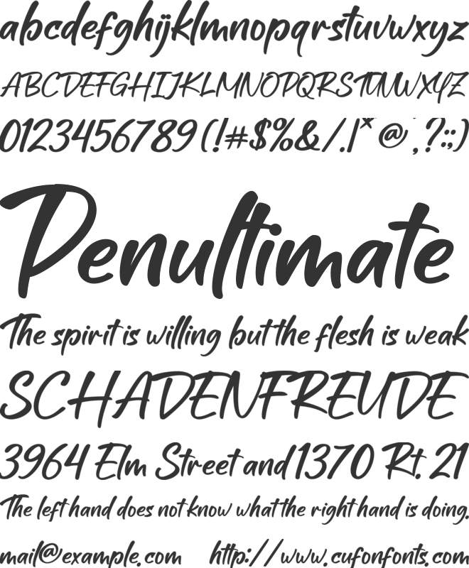 Roster York font preview