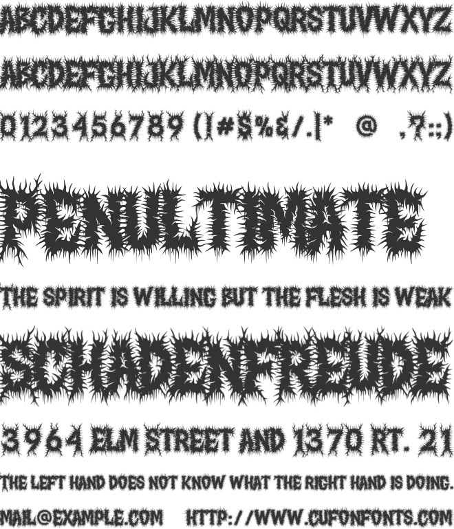 Night Roots font preview