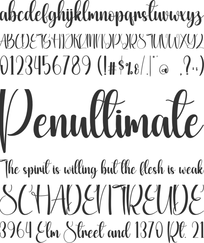 Shiny Wedding font preview