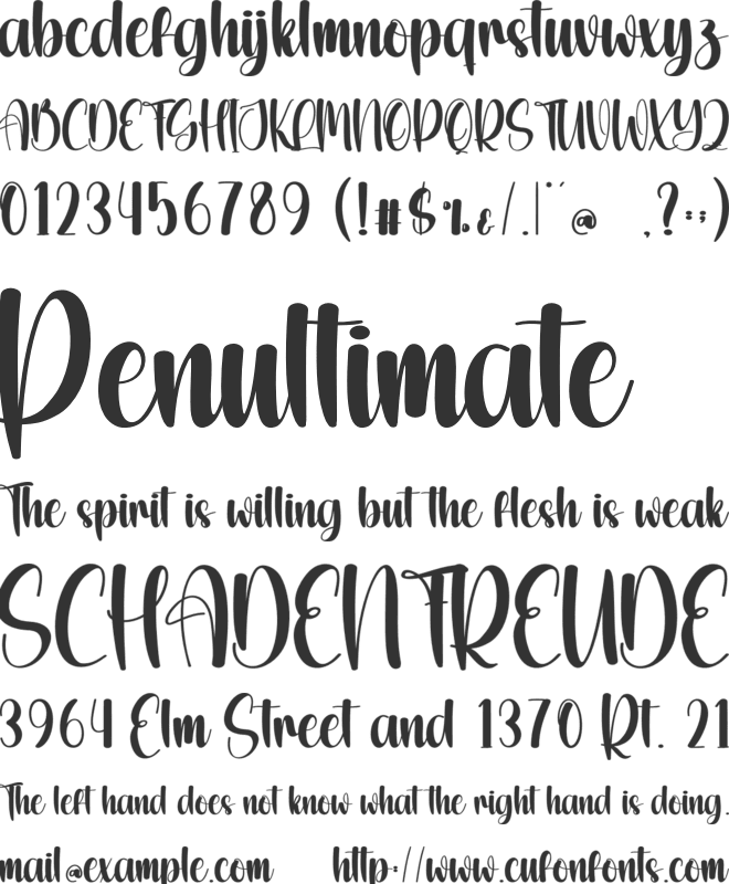 Western Ginger font preview