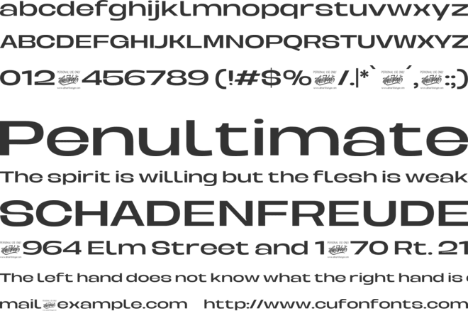 BERIER font preview