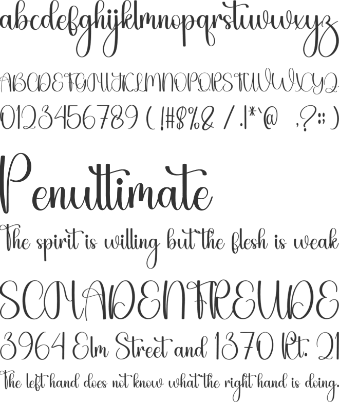 Himalaya Sunflower font preview