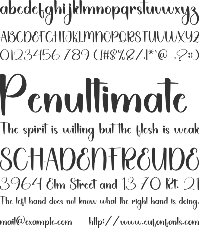 Angelica Homemade font preview