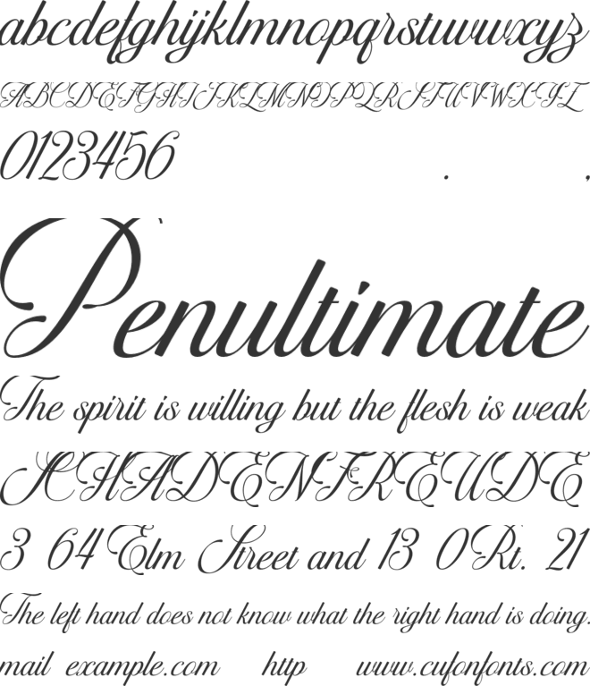 Relyna font preview