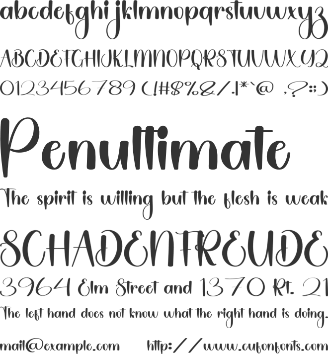 Saturday Calligraphy font preview