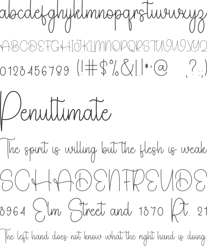Stylish Wonderful font preview