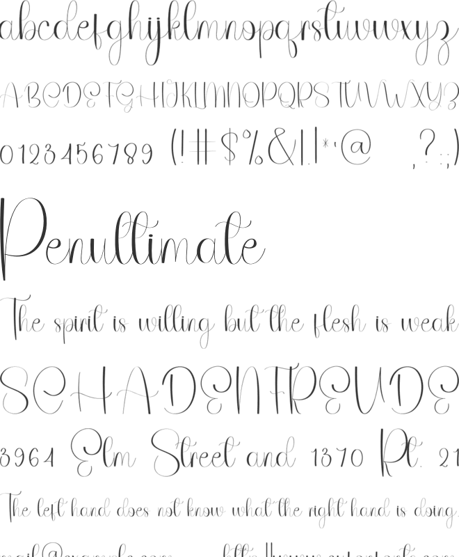 Stylish Design font preview