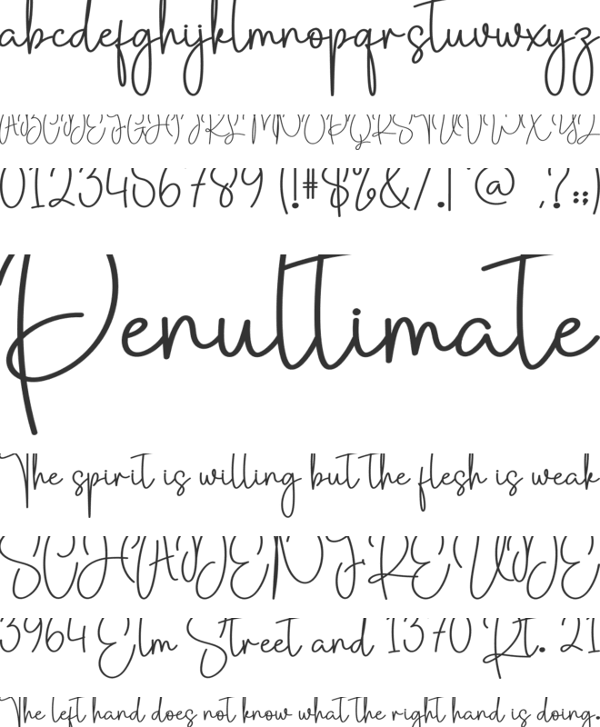 Renatta Signature font preview
