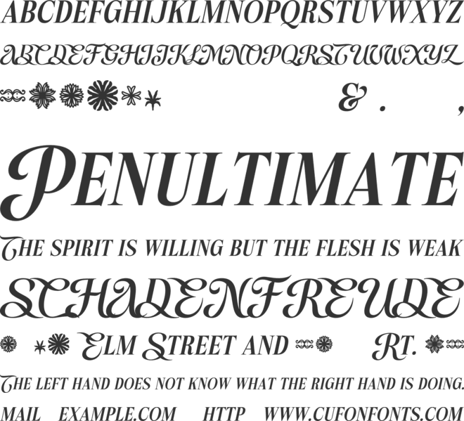 Casa Leru font preview