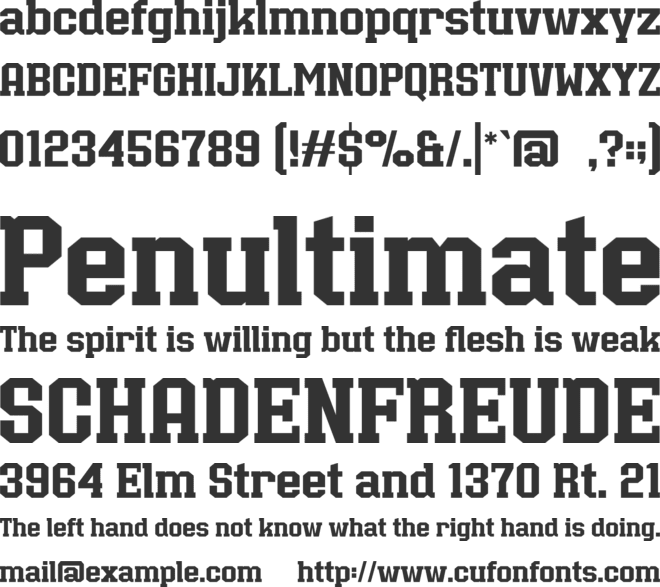 BULLSY COLLEGE font preview