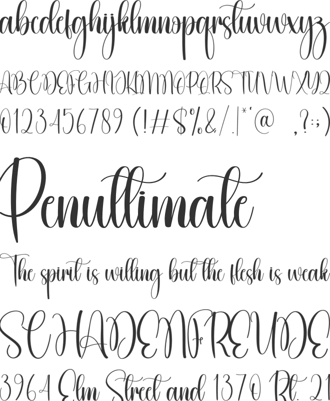 Delight font preview
